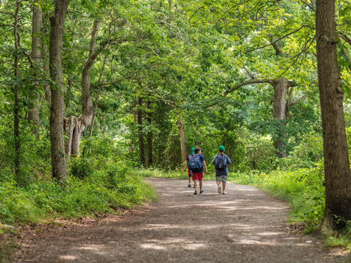 Bluff Point State Park