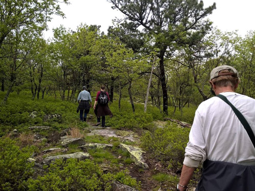 Candlewood Hill